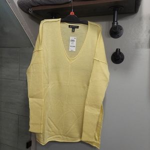NWT V-Neck Light Weight Sweater INC